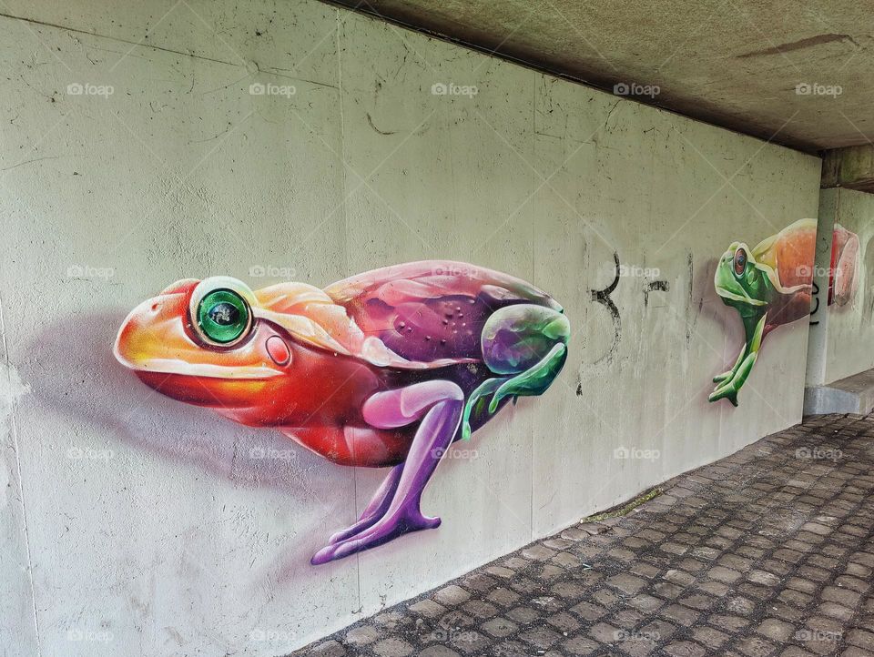 street art two colorful frogs in a tunnel