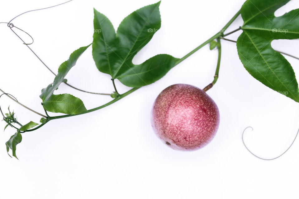 Amazing photography of pink colour passion fruit . fresh passion fruit with white colour background