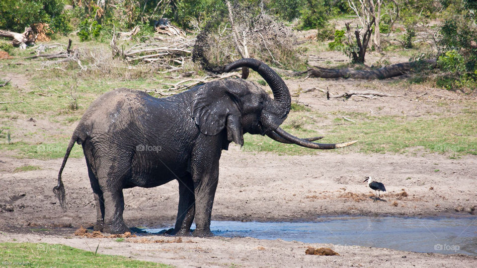 travel water park and by mike007