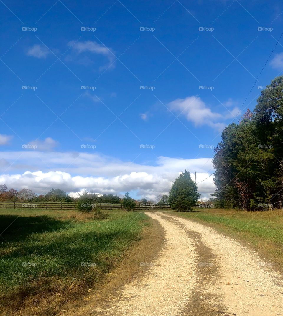 Beautiful autumn day on the preserve 