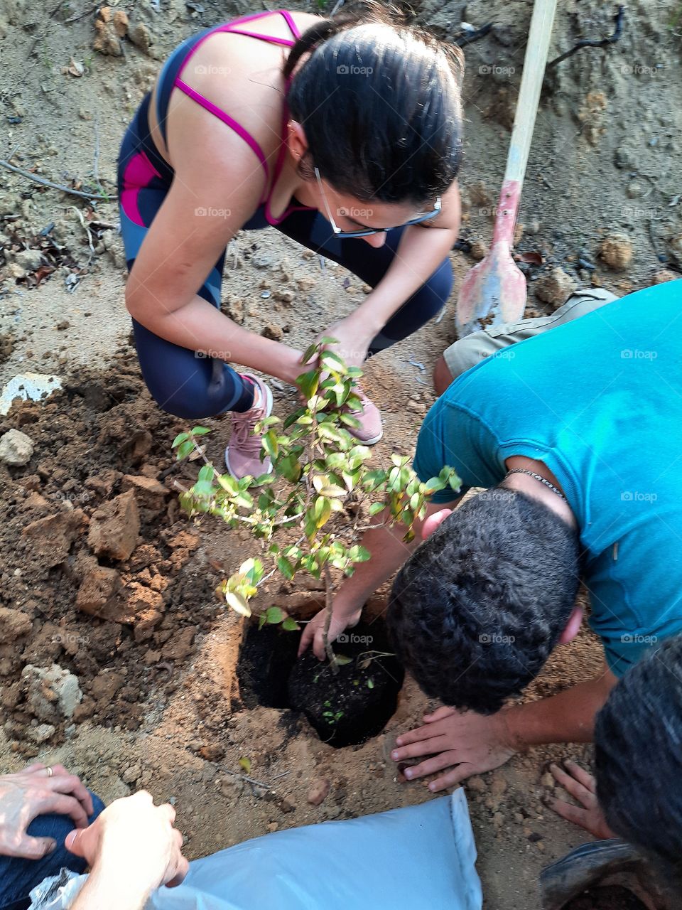 Plantando com amor.