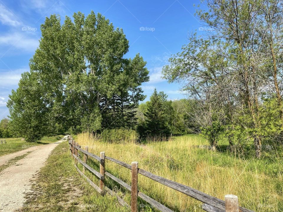 Peaceful country drive 