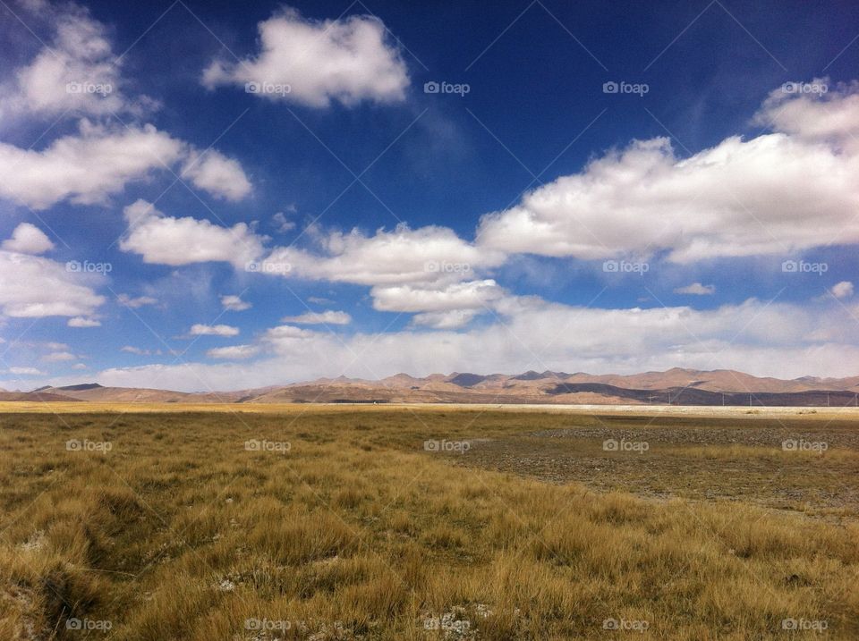 Landscape, No Person, Sky, Nature, Cropland