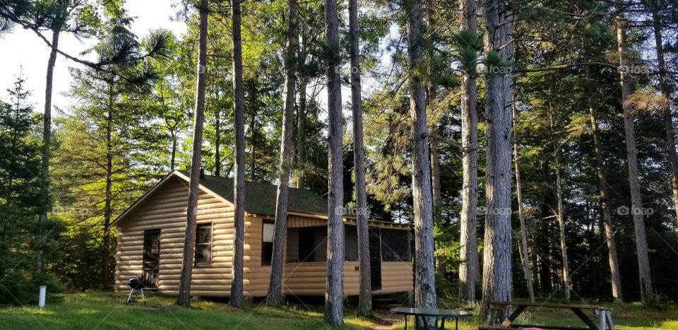 Forest Cabin