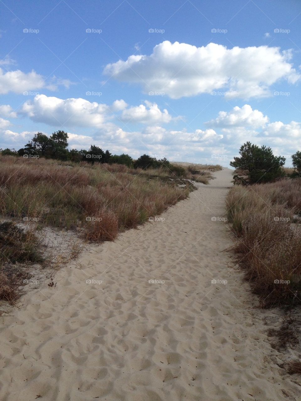 Dune Trail