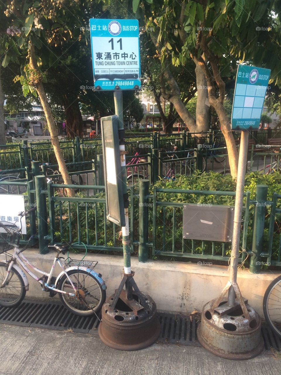 Blunder in Lantau Island, Hong Kong 