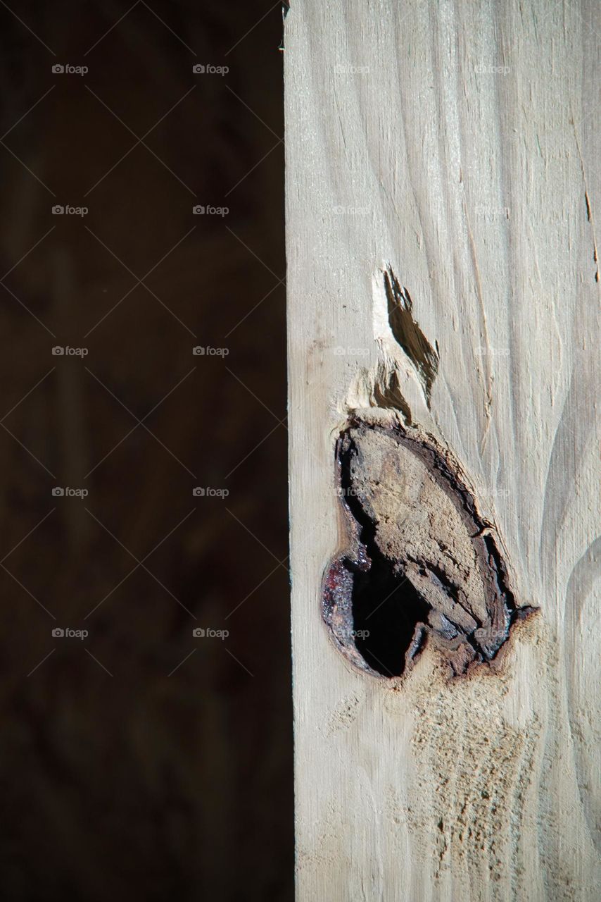 I found a butterfly in a knot of wood in the garage we had built 