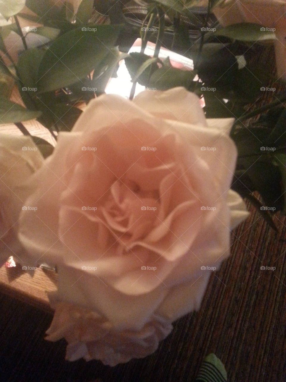 Wedding, Rose, Flower, Bride, Flower Arrangement