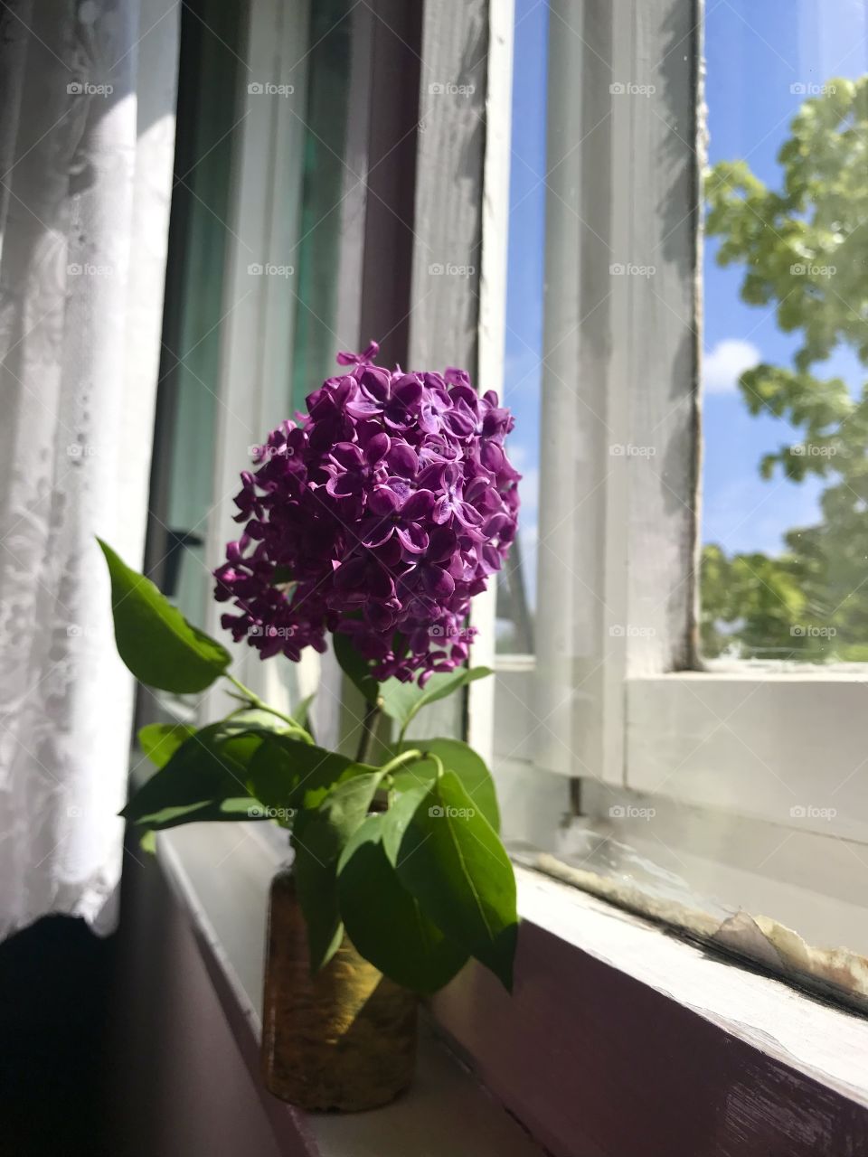 A window is more beautiful with lilac flowers.