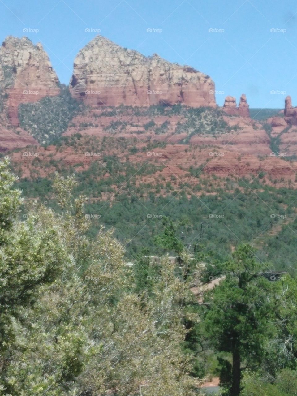 red mountains of Sedona