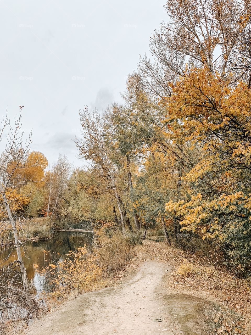 Autumn Hiking in the USA