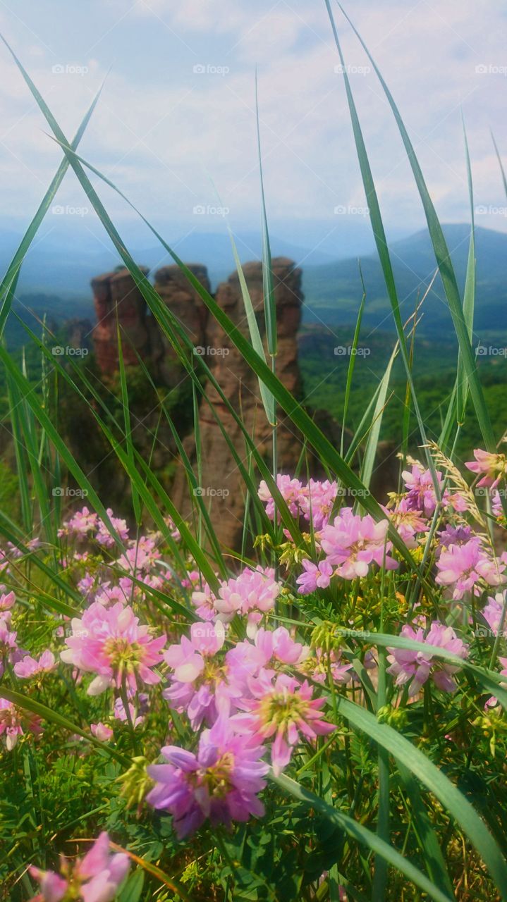 Belogradchik nature