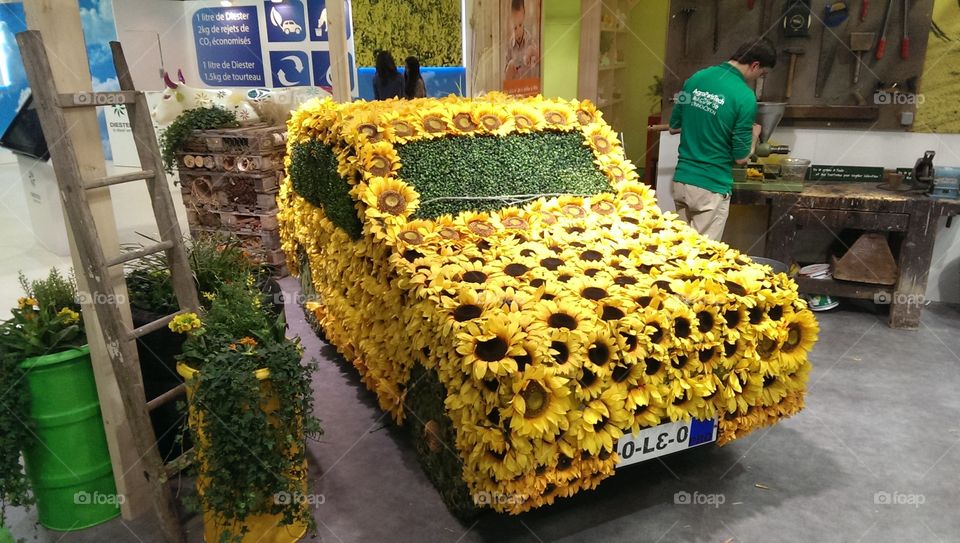 flowers car