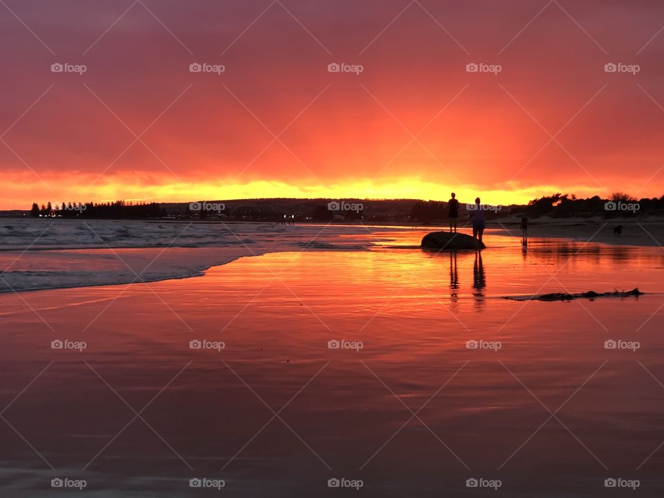 Chiton rocks beach at sunset