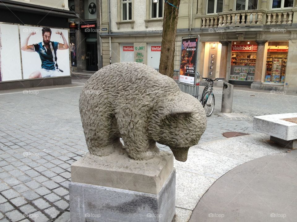 Swiss bear