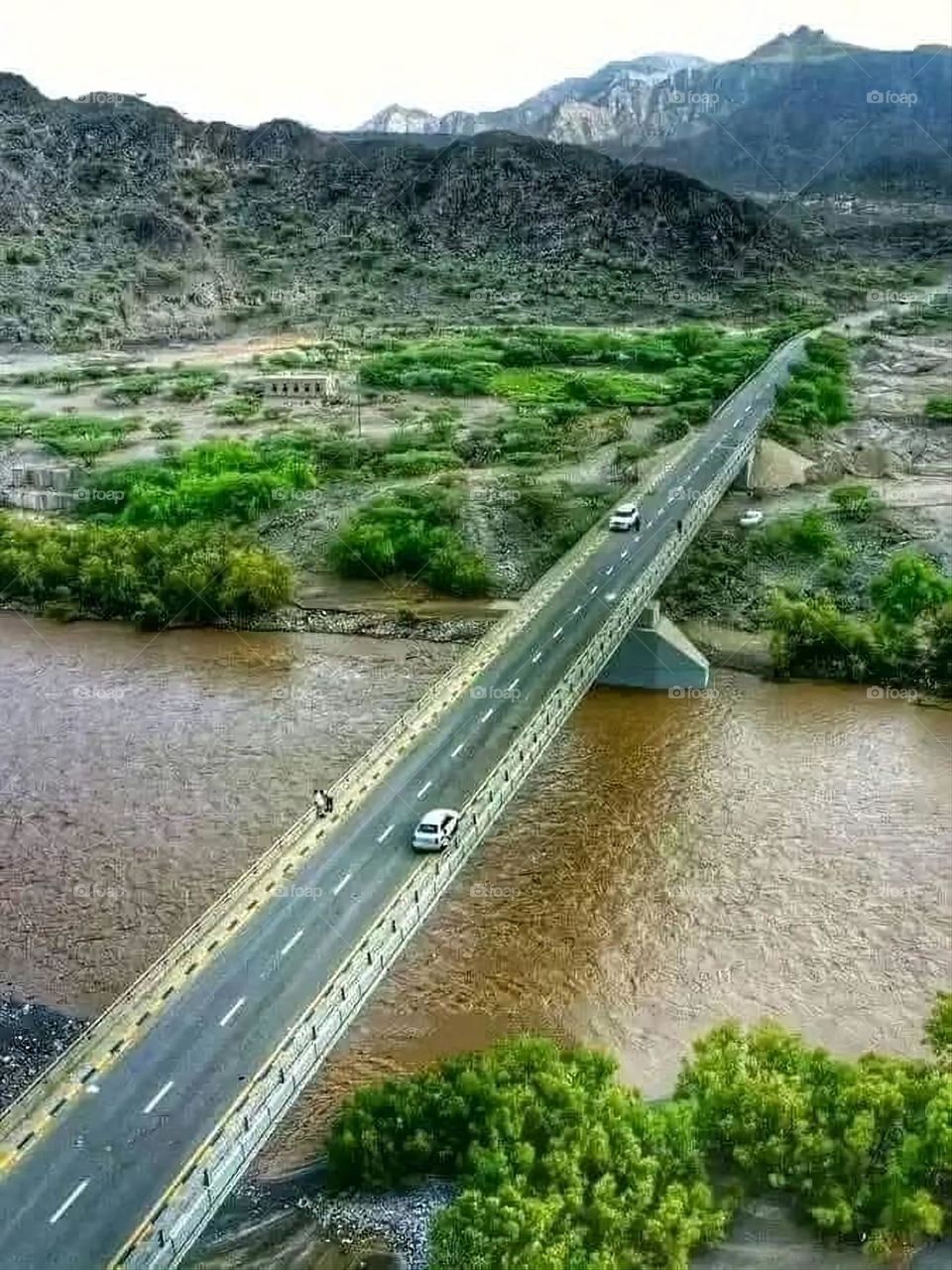 A very beautiful picture, and there is no better picture than it. There is no better picture of green herbs and colorful, red and white roses than it. Glory be to God, the natural and picturesque view, and there is no more