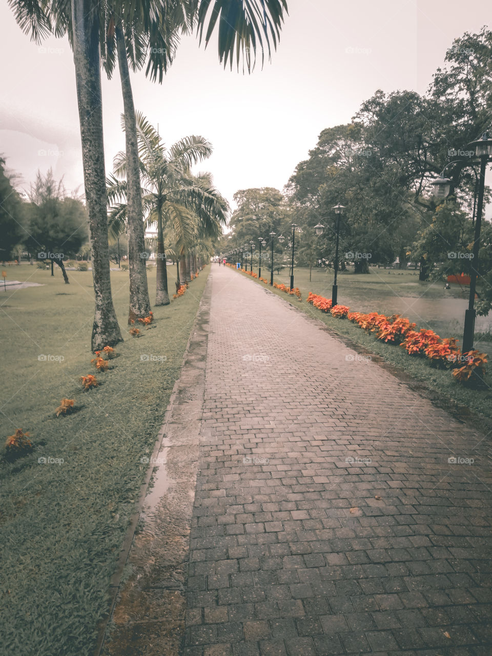 Viharamahadevi park in srilanka