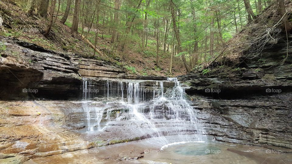 View of waterfall in forest