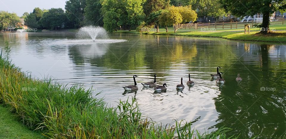 strolling in the park