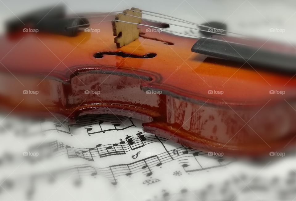 #violin #