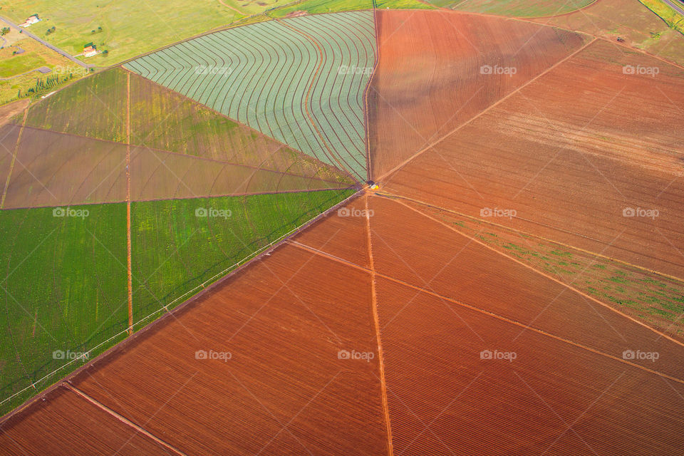 Different lines and shapes in a field viewed from the air with different colors