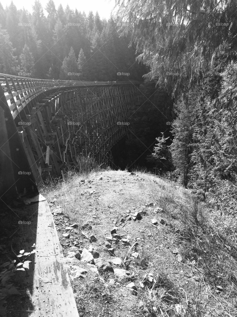 Train Bridge . Old bridge turned hiking trail
