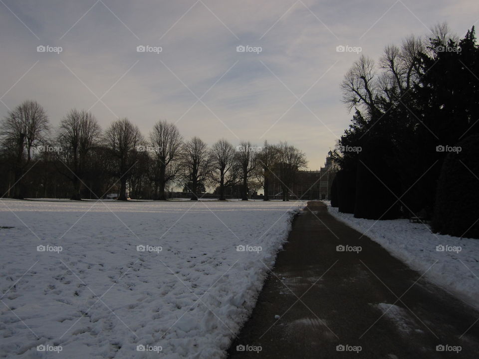 A Road In The Snow