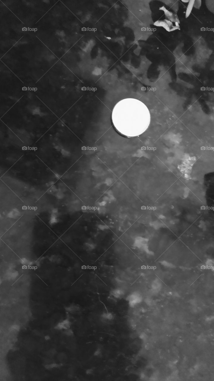 Moeda , imagem parece a Lua.