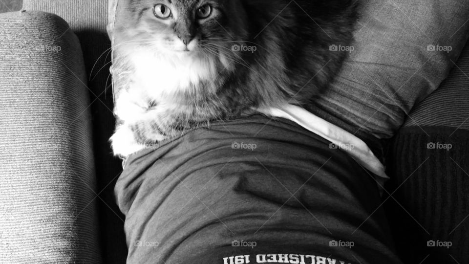 Typical Sunday. Lazy movie day with me and mine