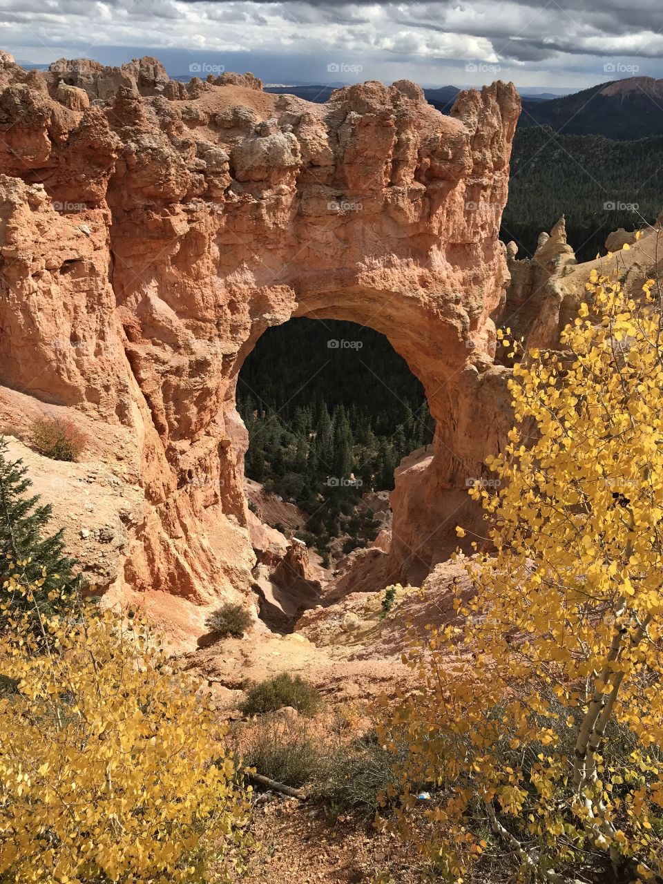 Natural arch in Bryce Canyon surrounded by yellow aspens