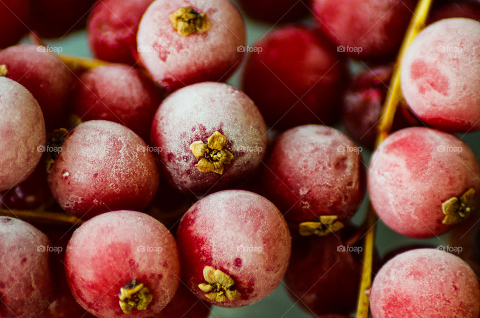 Red Cranberries