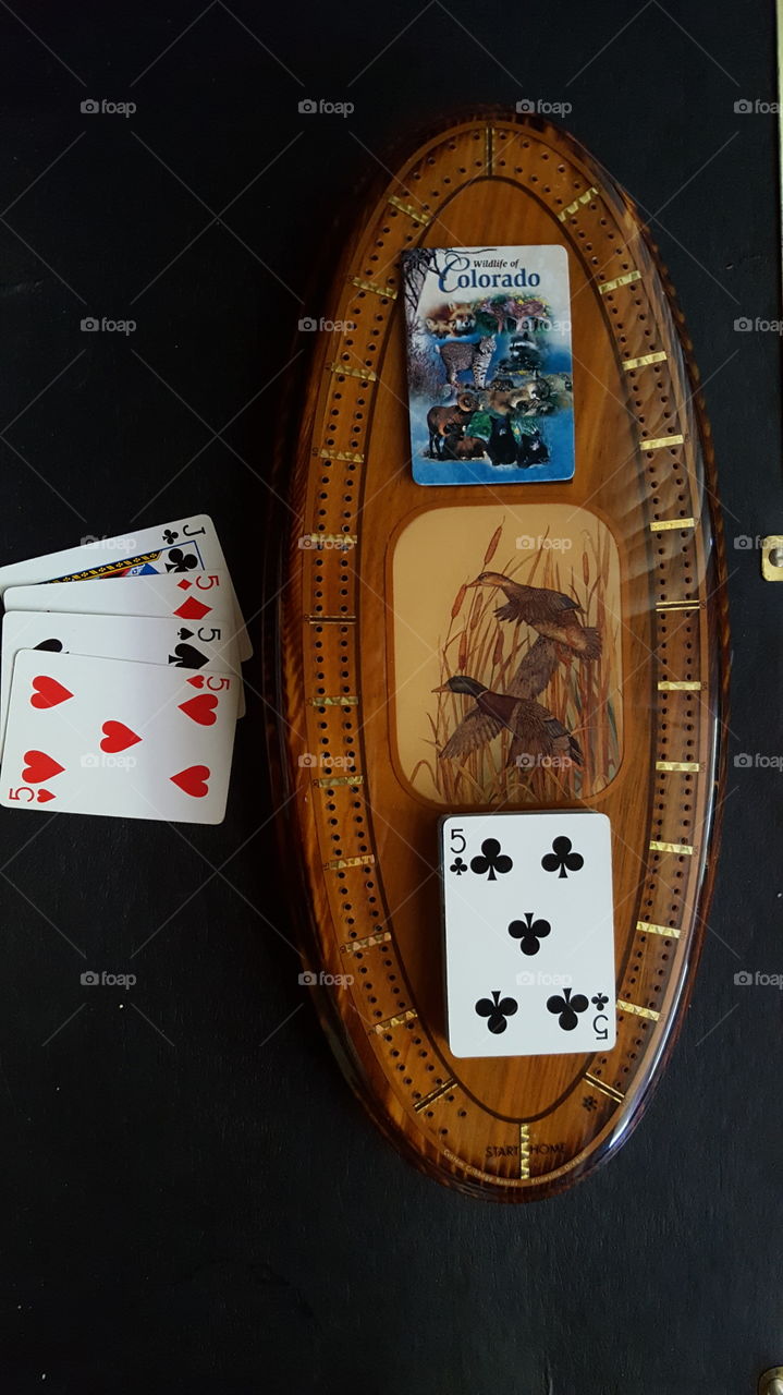 Perfect Cribbage Hand