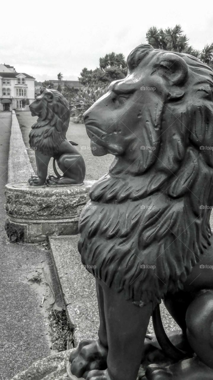 lions in Penzance Cornwall at Alexandra  road