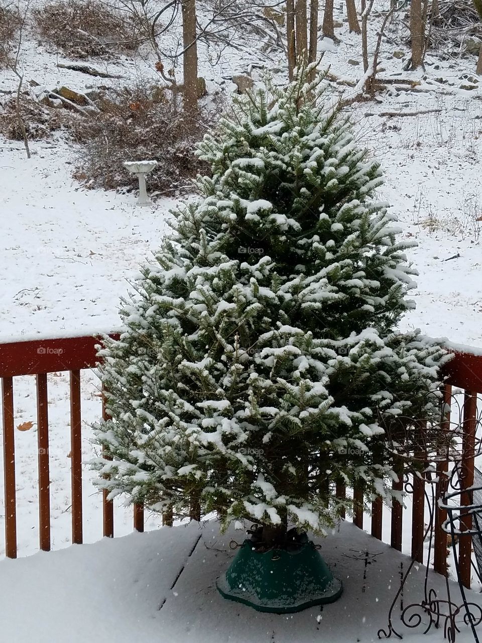 Snowing on Christmas tree