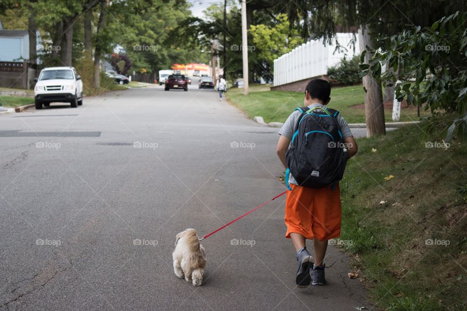 Boy walking a dog