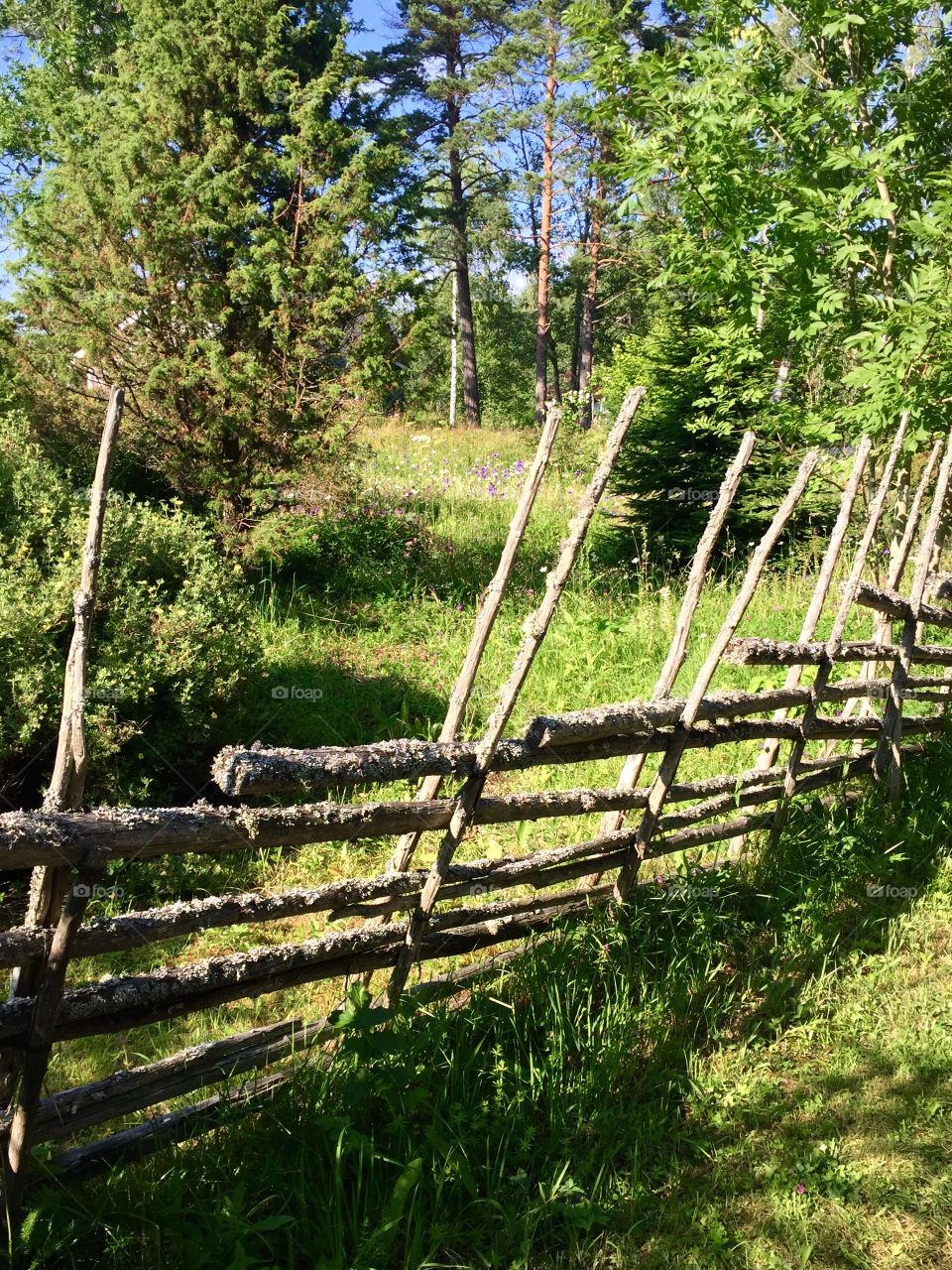 Gärdesgård. Gärdesgård