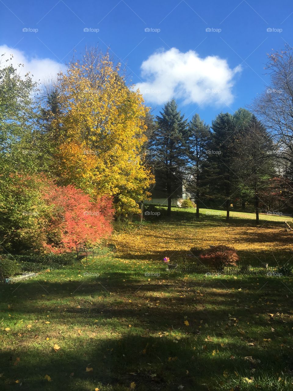 Fall in CT