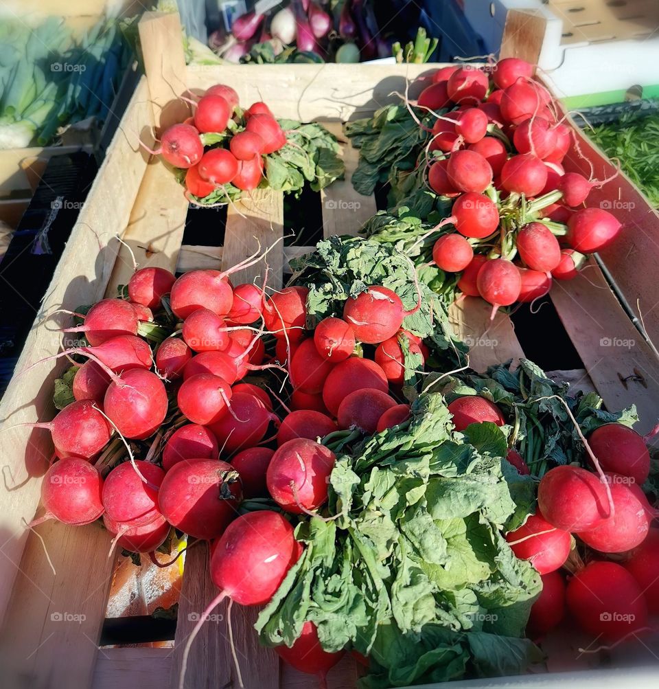 Radishes