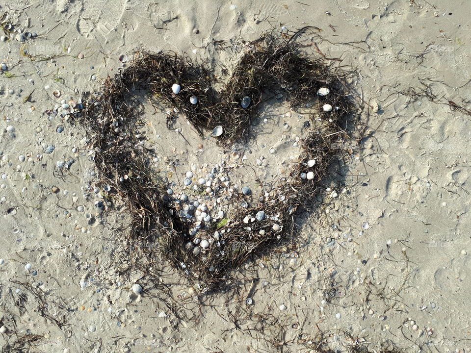 Heart from seaweed and shells on the beach