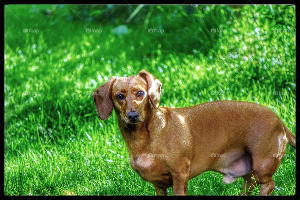 a face hard to resist