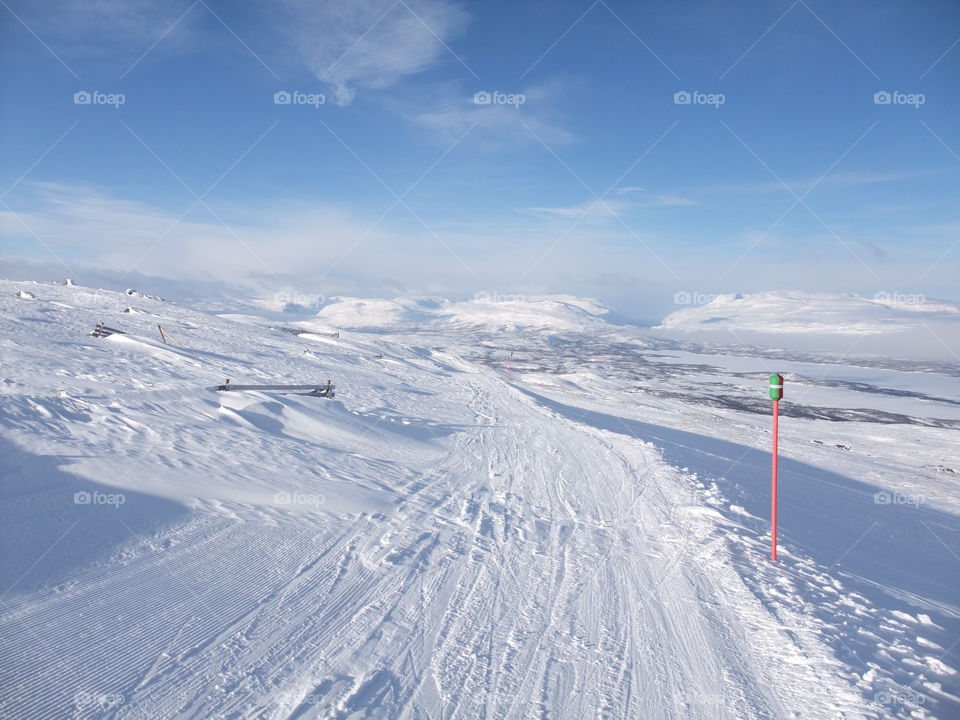 Snowy landscape