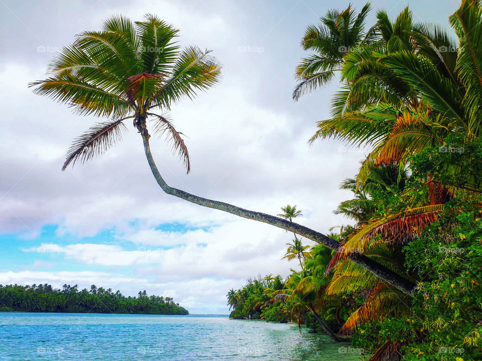 One Foot Island, Cook Islands