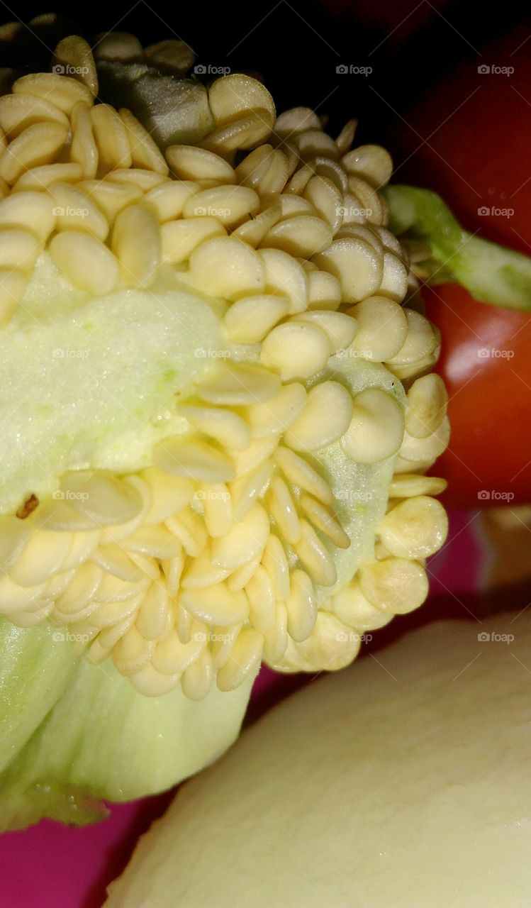 Sementes de pimentão