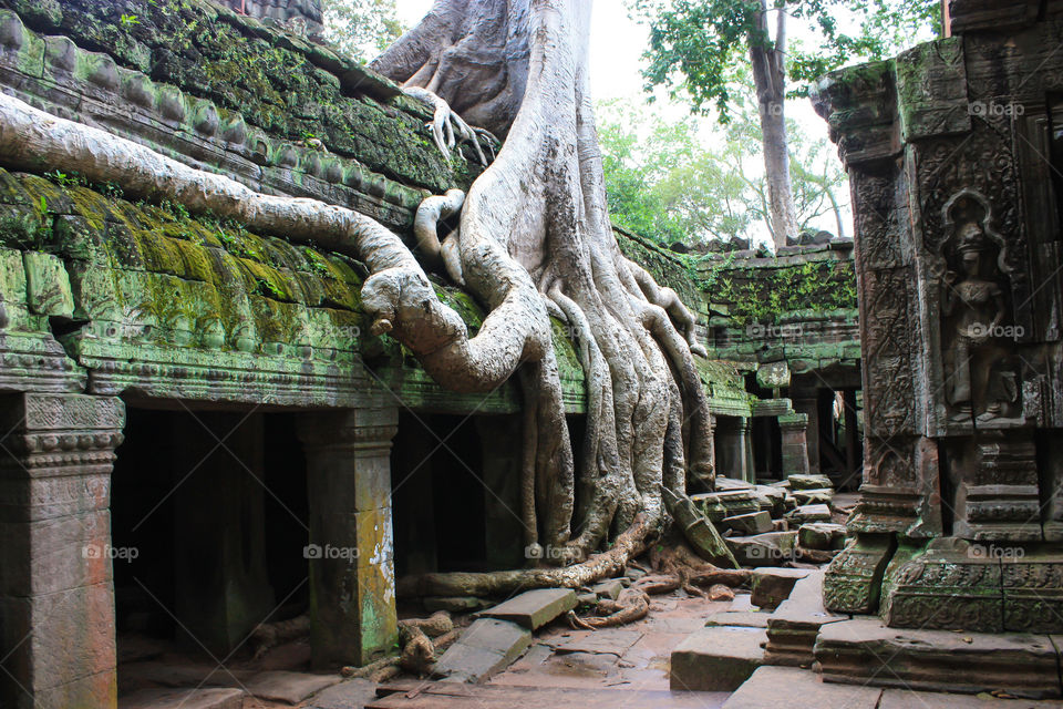 Angkor Wat