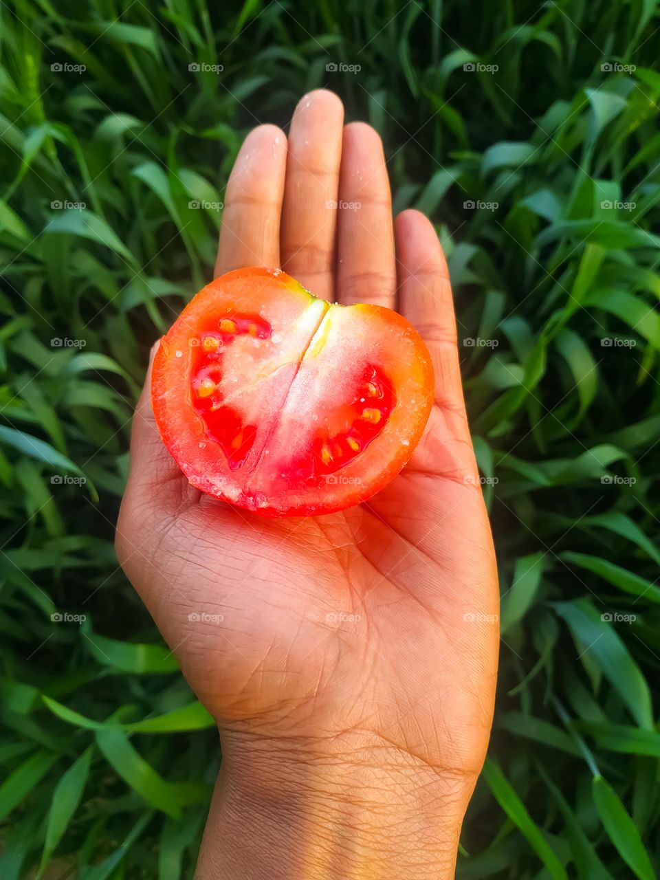 Boy hand holding tomato halves in their hand on the green blurred background, health food concept, close up.