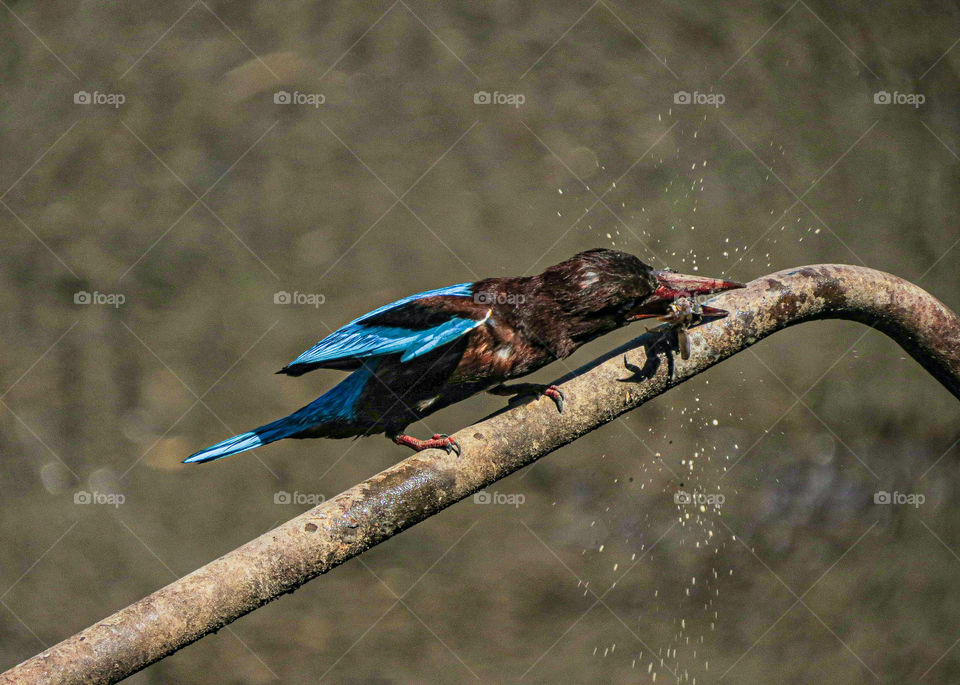 Nature suffer ✨💯