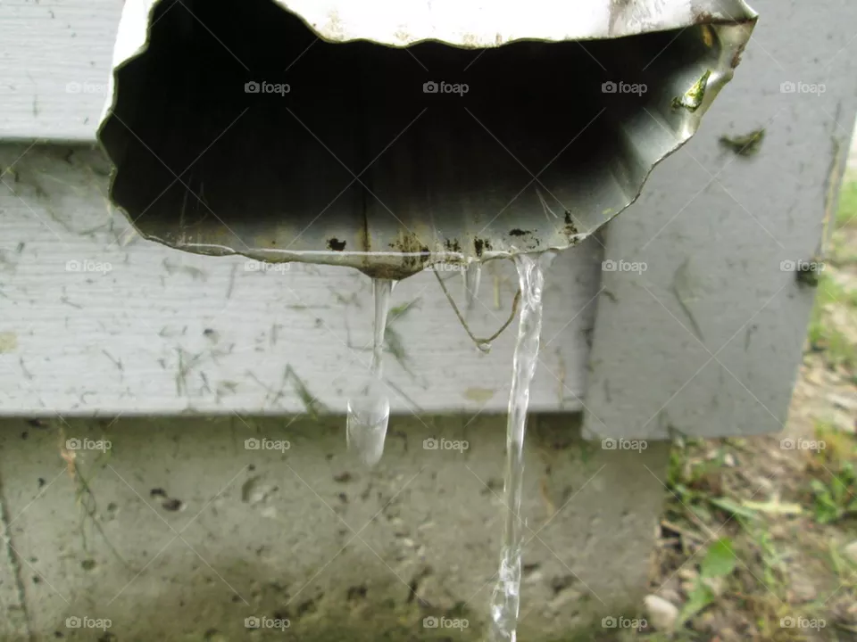 Drip drops