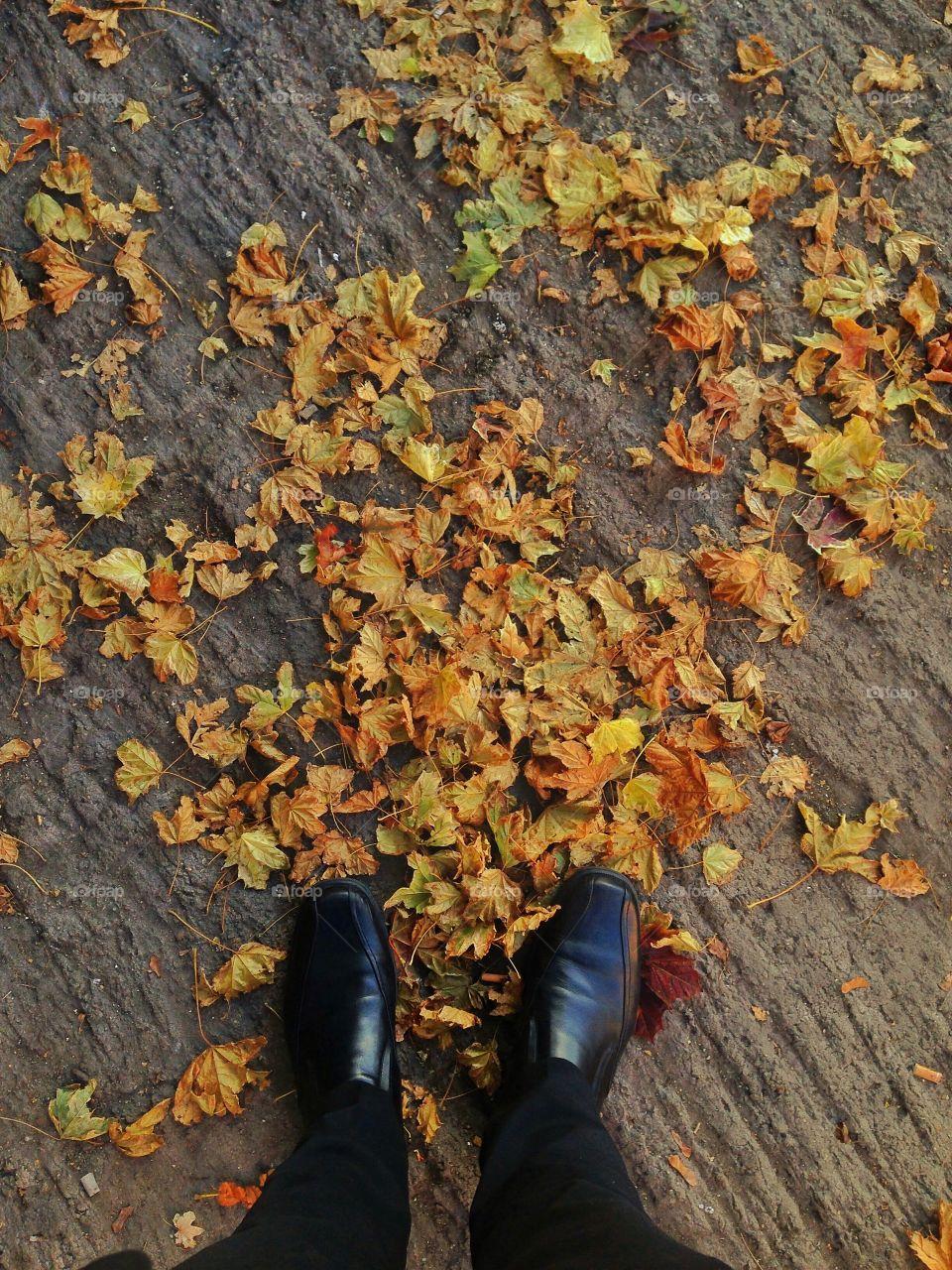 Low section of man standing in autumn leaf