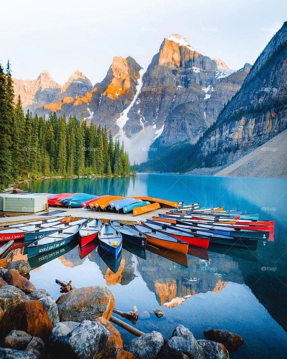 incredible amazing looking nature 😍