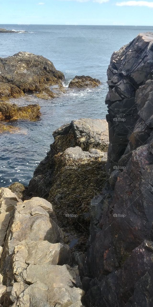 Maine coast